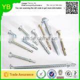 2016 New Custom Carbon Steel Screws and Nails Bulk Caps thumbnail-6