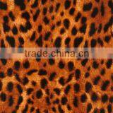 Hydrographic Technology, Water Transfer Printing Film Animal Skin Leopard Pattern,GW10810A, Width 50 cm