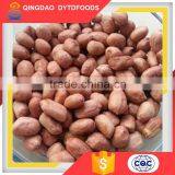 Factory Low Price Guaranteed Roasted Peanut With Red Skin thumbnail-2