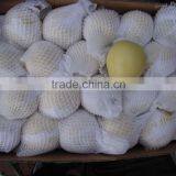 Chinese Golden Pear 9kg 18kg Carton thumbnail-4