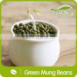 High Quality Green Mung Beans Foul Medames thumbnail-6