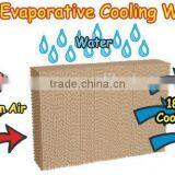 Hot Selling Evaporative Cooling Pad thumbnail-4