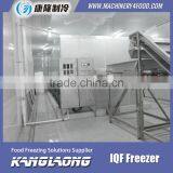 High Quality Freezer Equipment With Good Price thumbnail-3