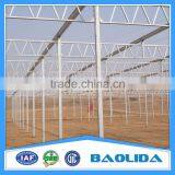 Galvanized Steel Framework Vegetable Used Green House For Sale thumbnail-5