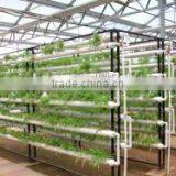 Grow Hydroponc System thumbnail-2