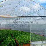 Top Quality Film Vegetable Greenhouse thumbnail-1