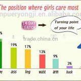Hign Mountain Green Tea Bags / China Supplier Green Tea Bags 2g*20bags Sell to UAE USA CANADA ALERGIA Jordan thumbnail-5