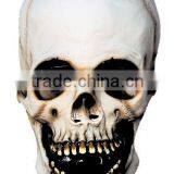 Adult White Skull Mask thumbnail-1