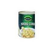 Canned Baby Corn Cut in Brine From Factory Directly thumbnail-1