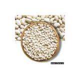 Sell White Kidney Bean thumbnail-1