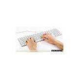 Data Entry thumbnail-1