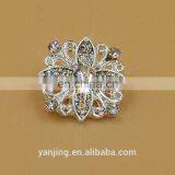 Fancy Rhinestone Buckle for Shoe Decoration/Buckle With Rhinestone Buckle thumbnail-1