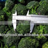 Export frozen vegetablesNew crop frozen Green Broccoli florets