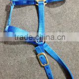 Horse Nylon Halter - High Quality (Customize Your Own Color)