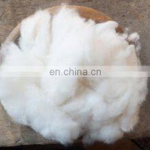 Gold Kashmere W Ool Finest Cashmere Origin in the World