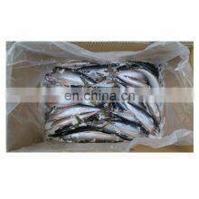 Raw Frozen Pacific Mackerel Fish Whole Round for Export thumbnail-2