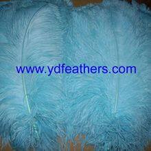 Ostrich Feather Plume Dyed Blue From China