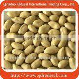 Roasted Salted Peanuts