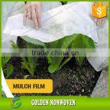 PP Agriculture Weed Control Fabric Mat Spunbond Non Woven Ground Cover for Plant thumbnail-2