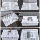 900x600x270mm New Polyethylene White China Plastic Poultry Transportation Cage for Animals Such as Chicken Duck and Goose thumbnail-6