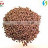 Karanja Seed Kernel thumbnail-4
