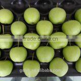 Various Apples thumbnail-2