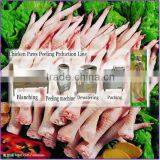 Duck Chicken Feet Skinner With High Output Easy to Operate Rephale Machinery