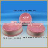Wholesale Ceramic Pet Bowl Bowl Feeder for the Pet