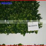 2013 Factory Fence Top 1 Chain Link Fence Hedge Used Galvanized Chain Link Fence