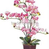 Artificial flower-Butterfly Orchid