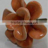 Ceremic Knobs thumbnail-1