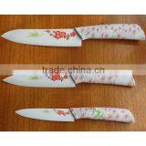 Ceramic Knife ,Printing Ceramic Knife ,high Tech Printing Ceramic Knife