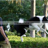 Promotional Polyester Frisbee Flying Disc for Pets