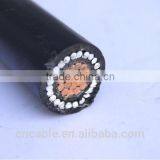 Tight Squeeze-type Al Core Copper Conductor Double-core Concentric Cables