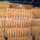 Coconut Fiber 2016 in Vietnam (qq : 2598494113) thumbnail-5