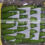 Zucchini thumbnail-1