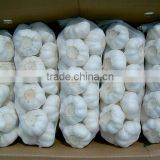 new crops pure white granulated garlic