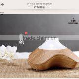 GX Diffuser Light Wood electric aroma diffuser with sound diffuser