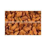 Fenugreek thumbnail-1