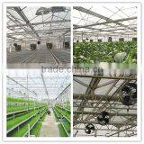 JINLONG Air Circulation Fan Greenhouse,circulation Fan Small for Sale thumbnail-4