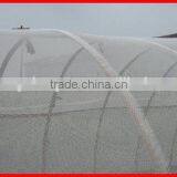 Cheap Wholesale High Quality Hot Sell Agriculture Greenhouse Anti Insect Net