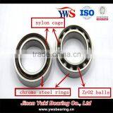 ZrO2 Si3N4 Hybrid 6204 Ceramic Bearing thumbnail-2