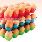 Small Order Portable 15 Lattices Plastic Egg Storage Box thumbnail-2