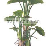 Artificial Bonsai Tree Artificial Taro Simulation Trees thumbnail-2