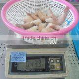 IQF Pink Shrimps HLSO thumbnail-1