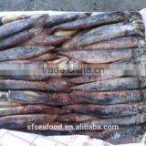 Bulk Order of Illex Squid thumbnail-1