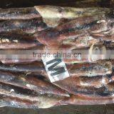 M Frozen Squid 200-300G Frozen Illex Squid thumbnail-1