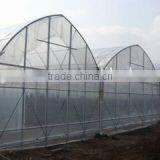 8mm Thickness Multi Span Polycarbonate Greenhouse With Cooling Pad thumbnail-1