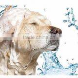 True Touch Deshedding Glove for Gentle and Efficient Pet Grooming thumbnail-2