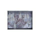 China (Mainland) Loligo Squid thumbnail-1